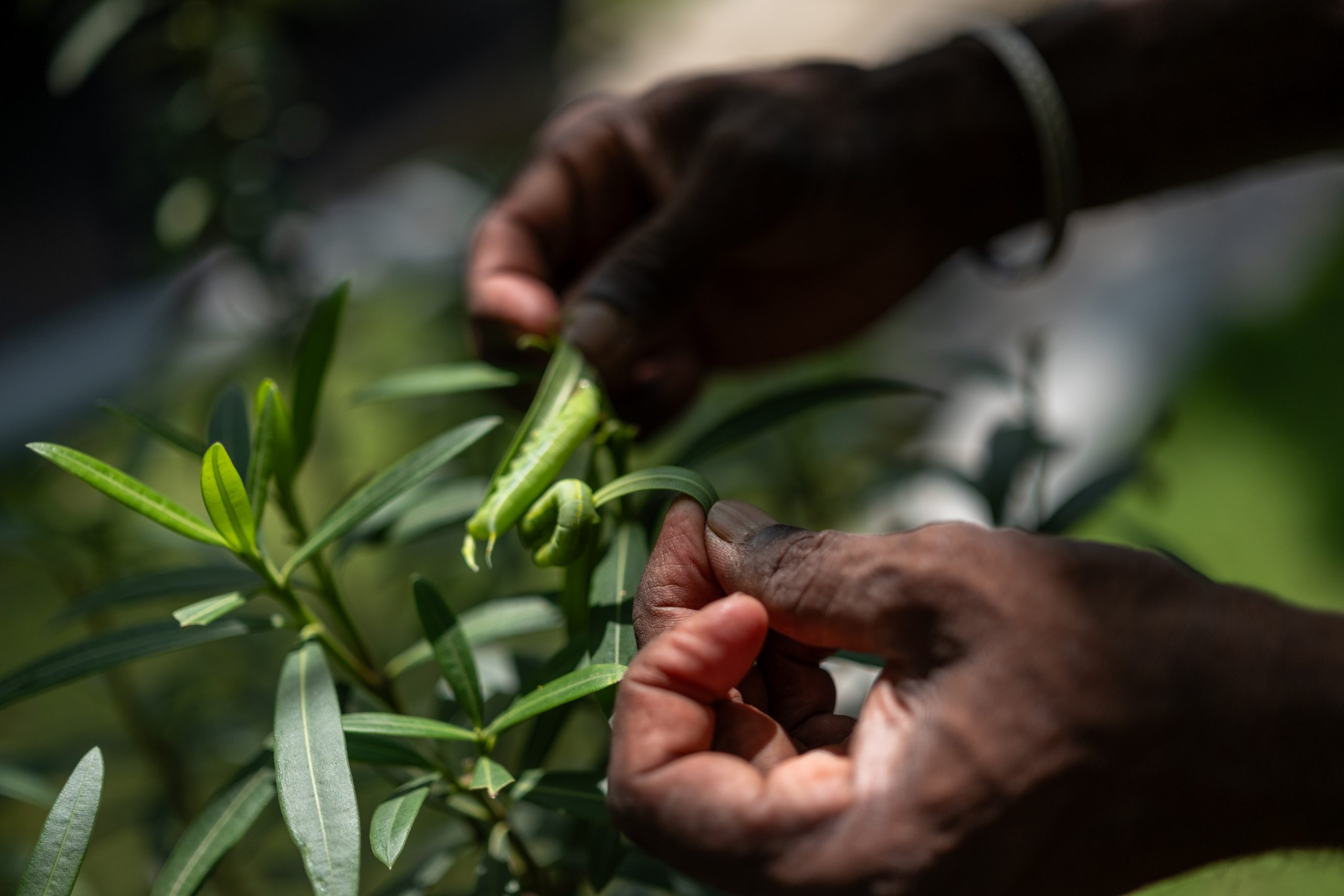 Explore Sustainability in Action