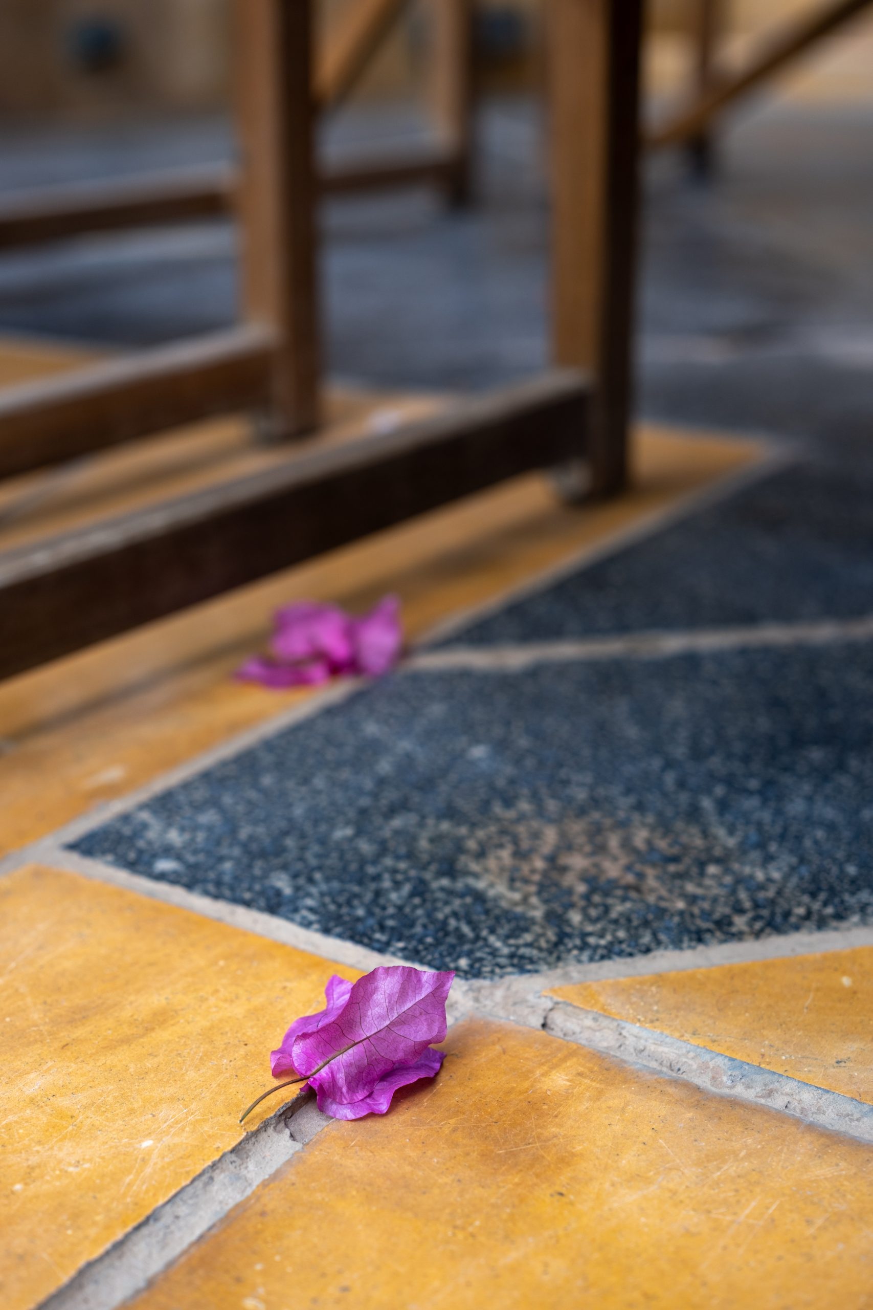 QLO weaves regenerative principles into its architecture and daily life, harmonizing with living systems.