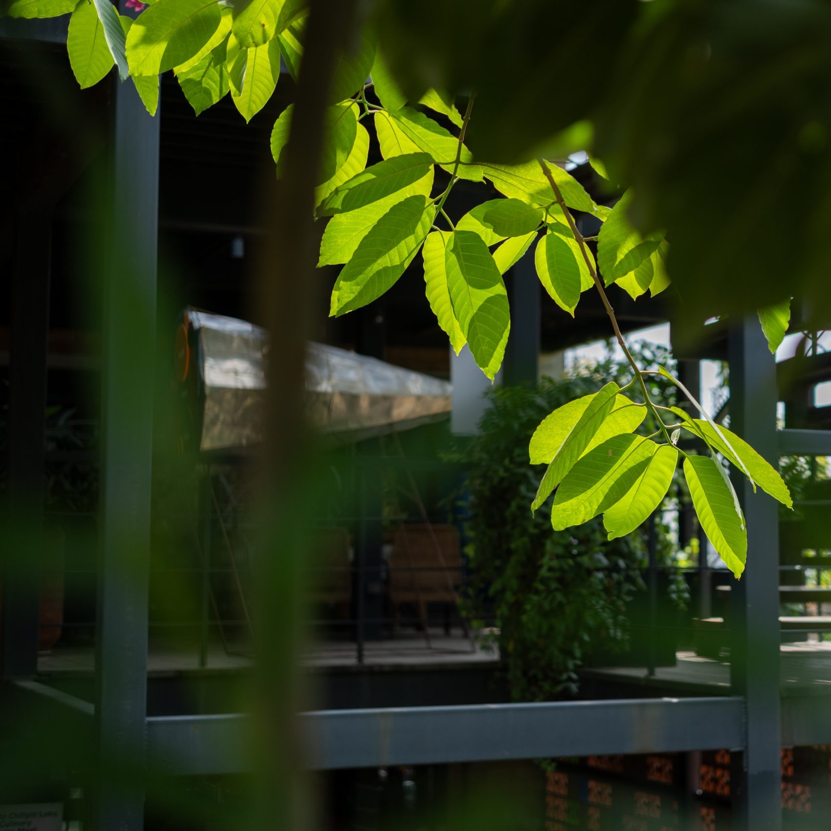 QLO is a living lab for co-creation, reimagination, and regeneration. 