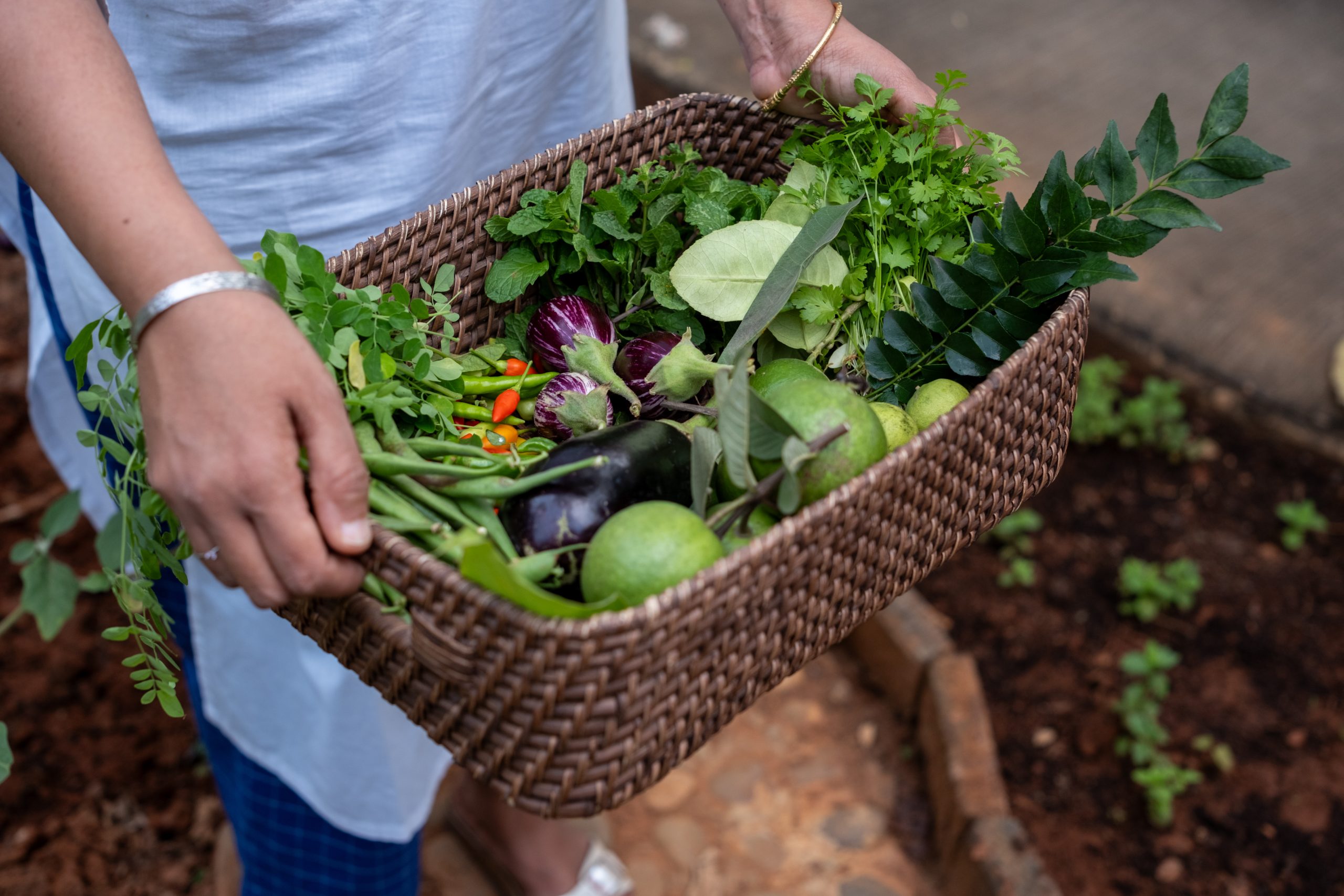 Explore our Community kitchen